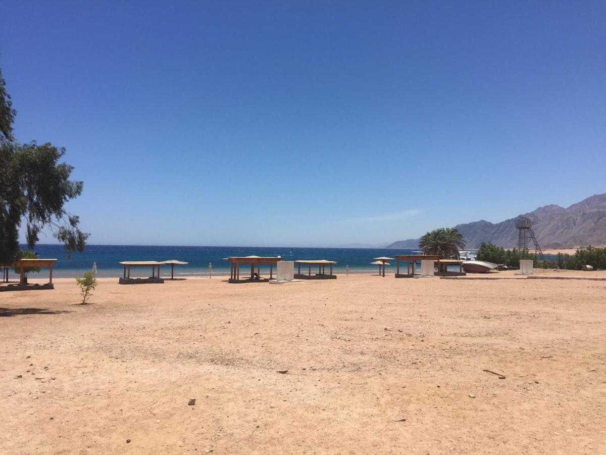 Deluxe Seahorse Apartment - Lagoon Villa Dahab Exteriör bild